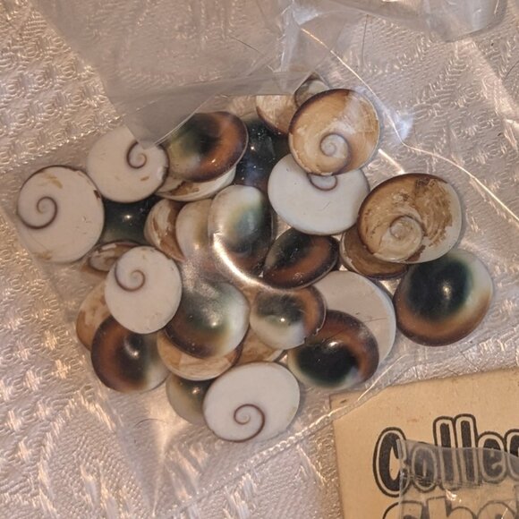 4 Shell Necklaces and 9 Craft Shell Bundles - Picture 8 of 10